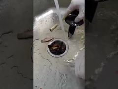 residuos orgánicos Disposer de 2800r/min 200*200*400m m con el interruptor opcional